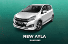 Sewa Ayla Bandung